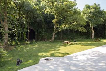 Plenty of space for kids to run about and let off steam.