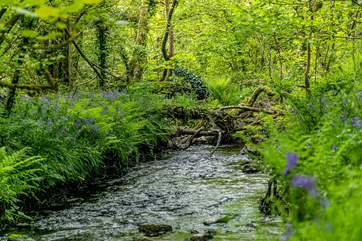 The pretty river Burn borders the grounds - ideal for a paddle.