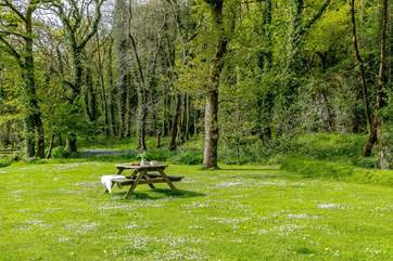 This rural idyll is the perfect place for peace and tranquility with just the occasional bleat of a sheep or neigh of a horse from the nearby field.