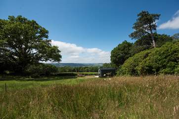 Looking down from the top of the meadow.