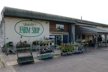 Felicity's award-winning farm shop is just over the border into Dorset and has some delicious produce for the barbecue.