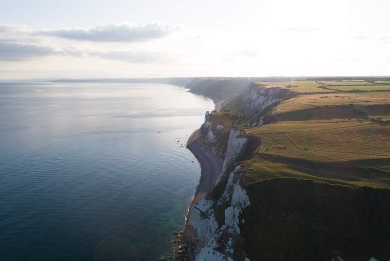 The cliffs that jut out between Beer and Branscombe - a great section of the South West Coast Path.