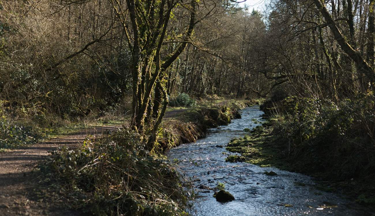 The Blackdown Hills can be reached in under 30- minutes. This is Otterhead Lakes walk, a lovely circular route. 