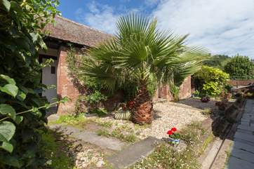 This is your very own tropical palm tree - this photo shows the path to the other cottages. The cottage and your courtyard-area are just out of this shot to the right.