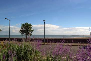 The Esplanade takes you all the way to the old Quay to the left and to the town and the beaches to the right.
