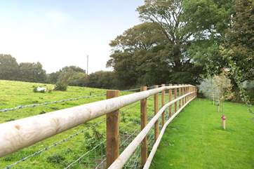The fence between the garden and field is stock-proofed so dogs can't get through.