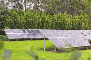The solar farm in the grounds provides all the electricity needs of The Emerald.