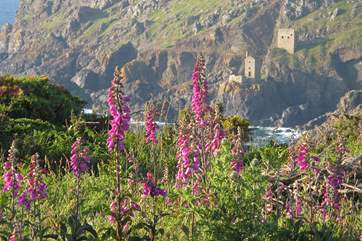 The Cornish coast.