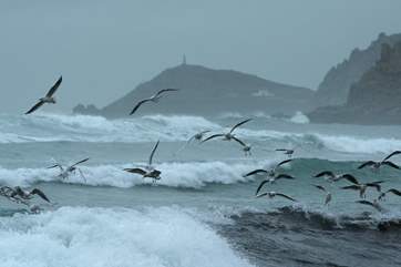 Cape Cornwall, just 2 miles away.