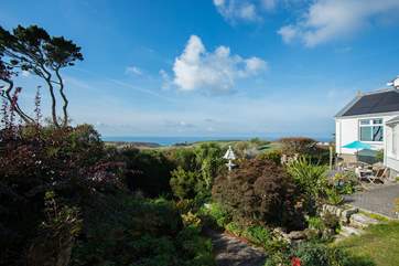 A beautiful, well established garden.