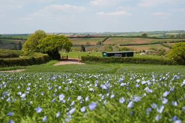 This is the first glimpse you will get on arrival, with your own little track from the farm's lane to your gates.