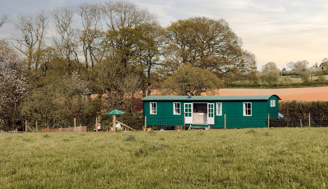 Quietly nestled in nature's paradise. 