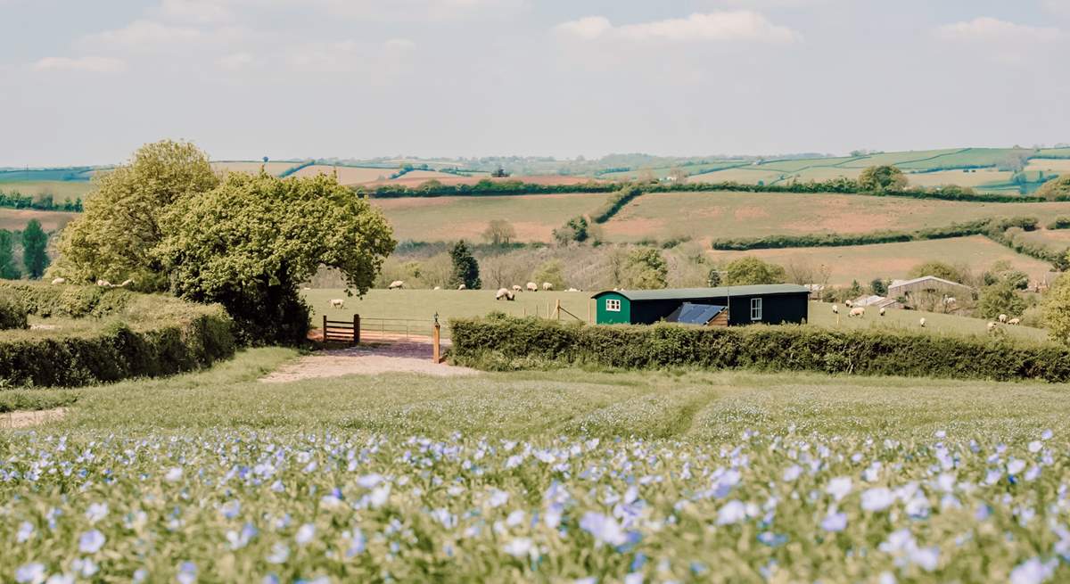 This is the first glimpse you will get on arrival, with your own little track from the farm's lane to your gates.