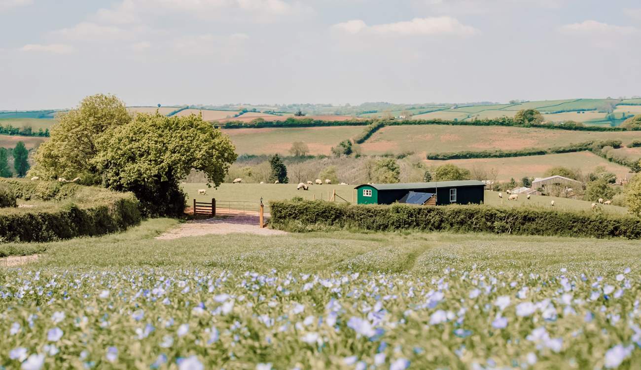This is the first glimpse you will get on arrival, with your own little track from the farm's lane to your gates.