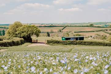 This is the first glimpse you will get on arrival, with your own little track from the farm's lane to your gates.