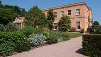 Visit Killerton House for glorious walks through its pretty gardens.