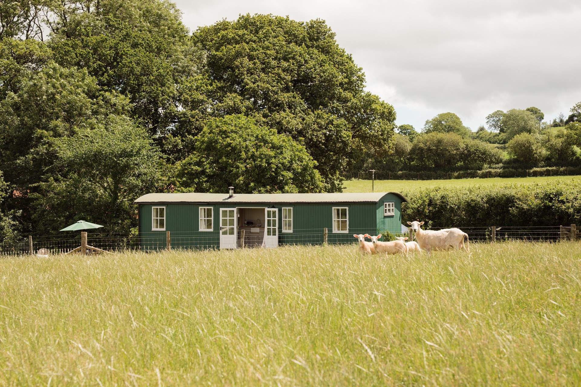 Welcome to Shepherd's Sky Super Hut; your eco-chic hideaway in the heart of Devon.  