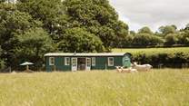 Welcome to Shepherd's Sky Super Hut; your eco-chic hideaway in the heart of Devon.  