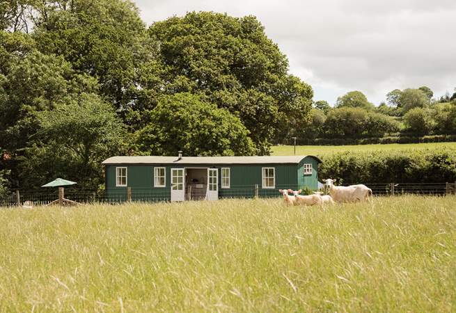 Welcome to Shepherd's Sky Super Hut; your eco-chic hideaway in the heart of Devon.  