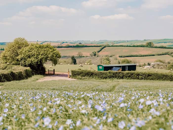 Shepherd's Sky Super Hut, Sleeps 5 in Tiverton