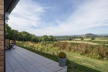 Looking west from the patio.
