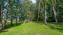 There is a little wooded area in the garden.