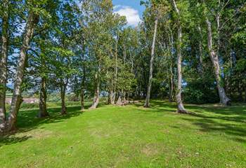 There is a little wooded area in the garden.