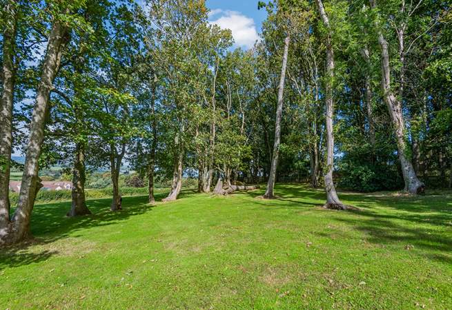 There is a little wooded area in the garden.