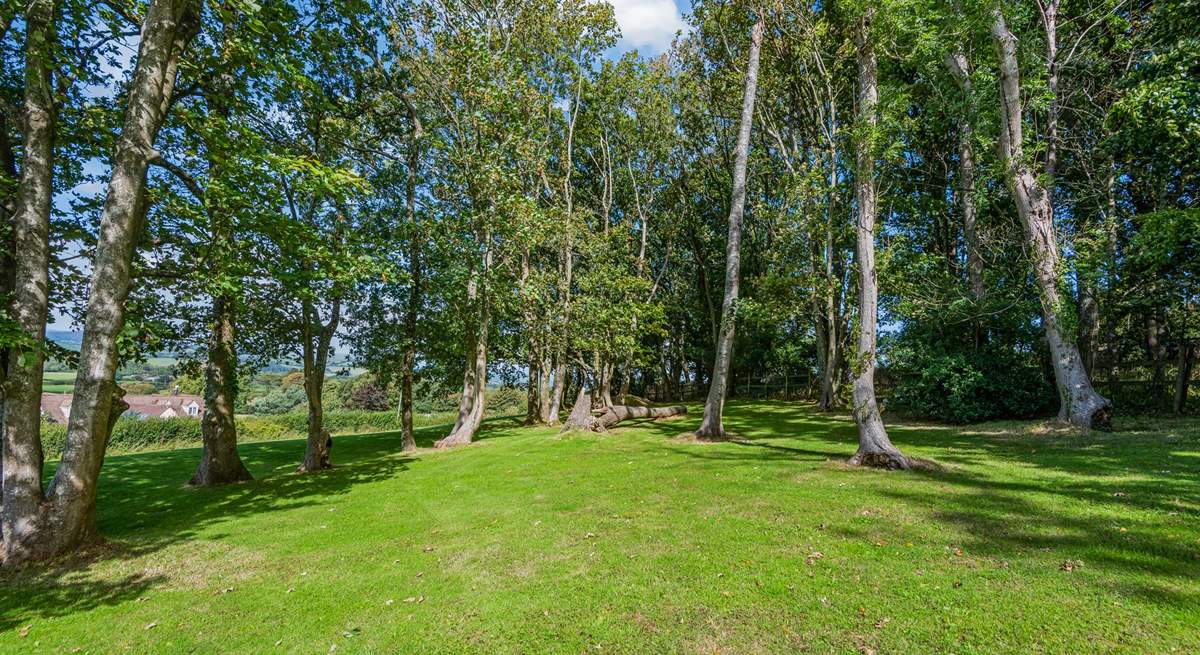 There is a little wooded area in the garden.