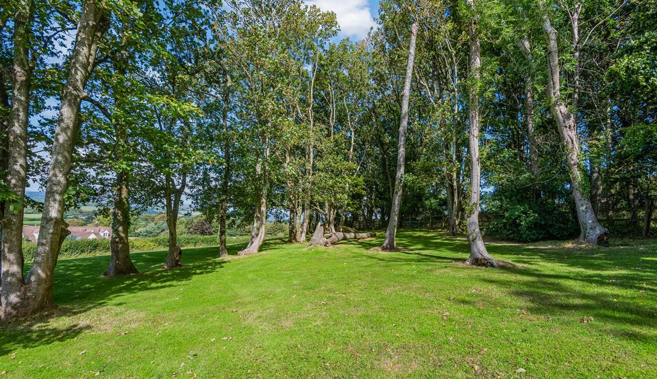 There is a little wooded area in the garden.