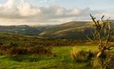 Explore the wilds of Dartmoor with lots of cosy pubs along the way. - Thumbnail Image
