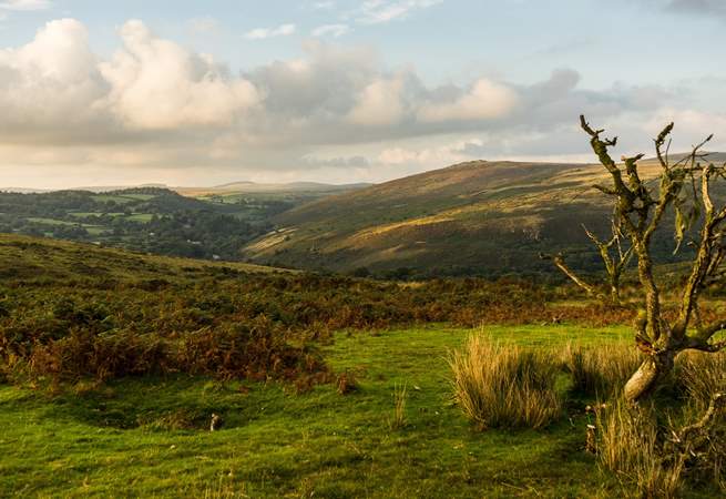 Explore the wilds of Dartmoor with lots of cosy pubs along the way.