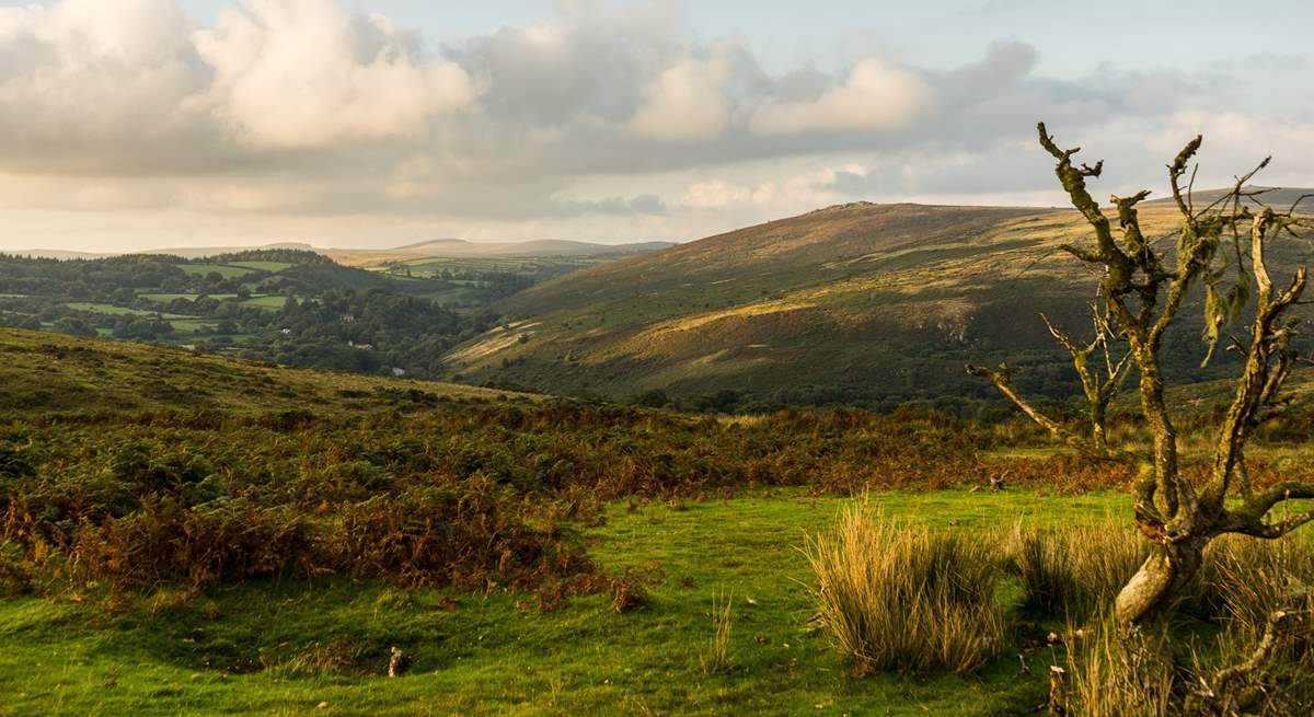 Explore the wilds of Dartmoor with lots of cosy pubs along the way.