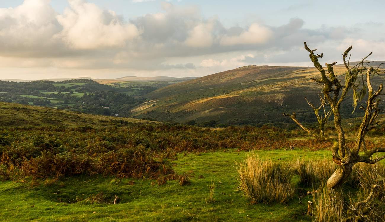 Explore the wilds of Dartmoor with lots of cosy pubs along the way.