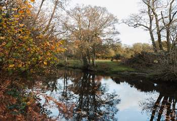 There's lots of opportunities to reconnect with nature.