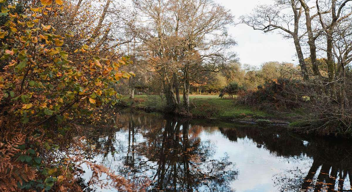 There's lots of opportunities to reconnect with nature.