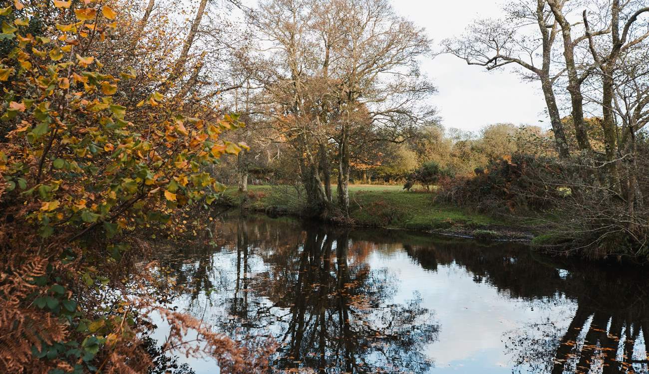 There's lots of opportunities to reconnect with nature.