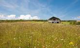 Mount View Horizon is at the far end of the meadow. - Thumbnail Image