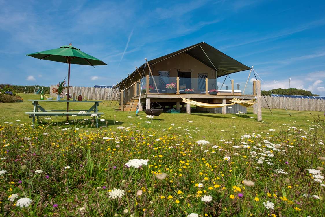 Mount View Sunrise in all its glory.