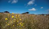 Nestled in a spacious meadow alongside Mount View Sunrise Safari Tent and Mount View Horizon Safari Tent. There is one other hideaway on site but in a different meadow separated by a hedge. All hideaways have plenty of privacy.  - Thumbnail Image