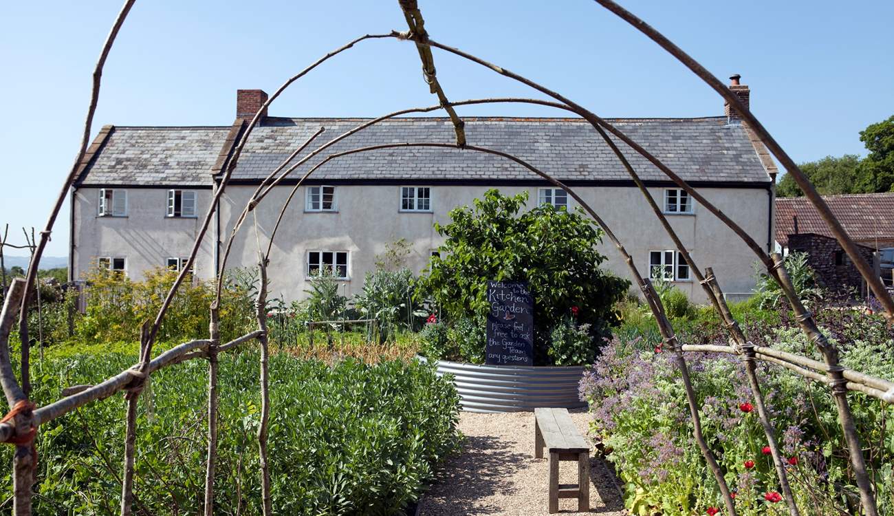River Cottage HQ is a short drive from Lyme Regis, just over the border into Devon, and is a paradise for foodie lovers! 