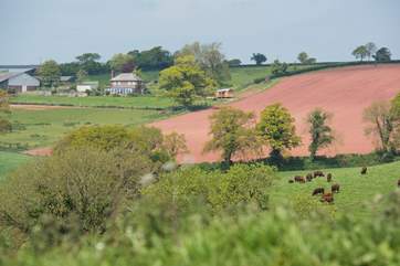 The Wagon in the distance, with the owners' house to the left.