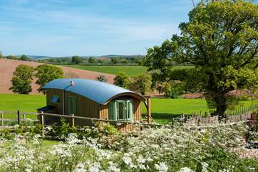Style, comfort and gorgeous views are what you get with our wonderful wagon.