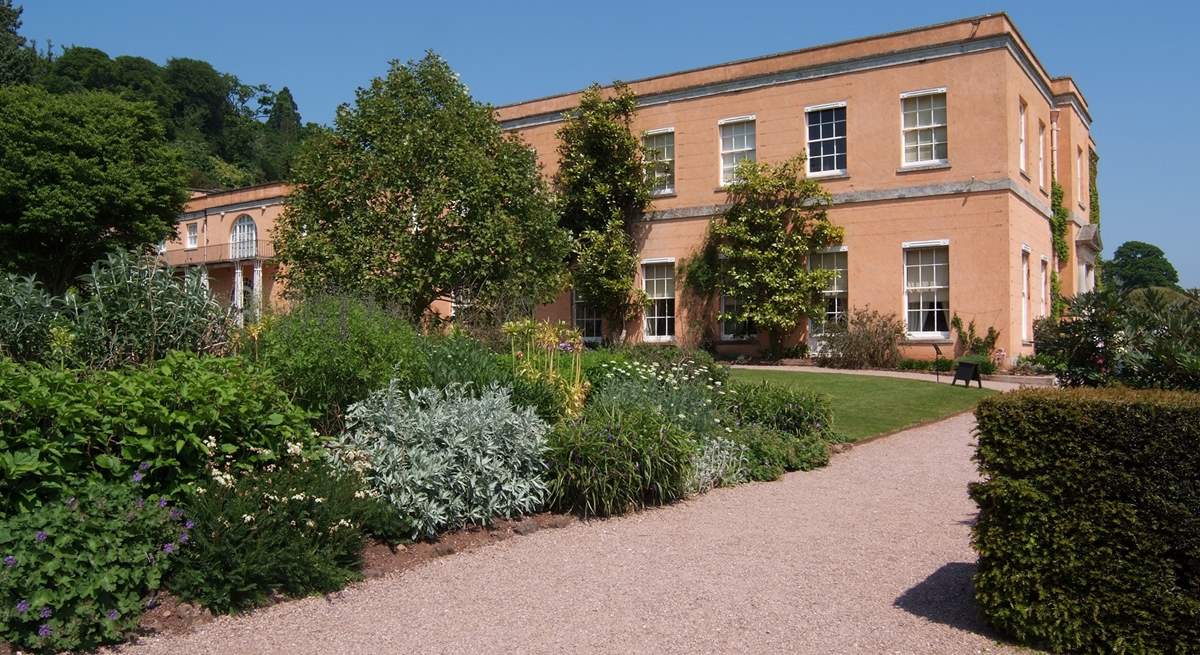 Killerton House offers glorious walks through its pretty gardens, with a lovely cafe serving coffee, cakes and light bites. 