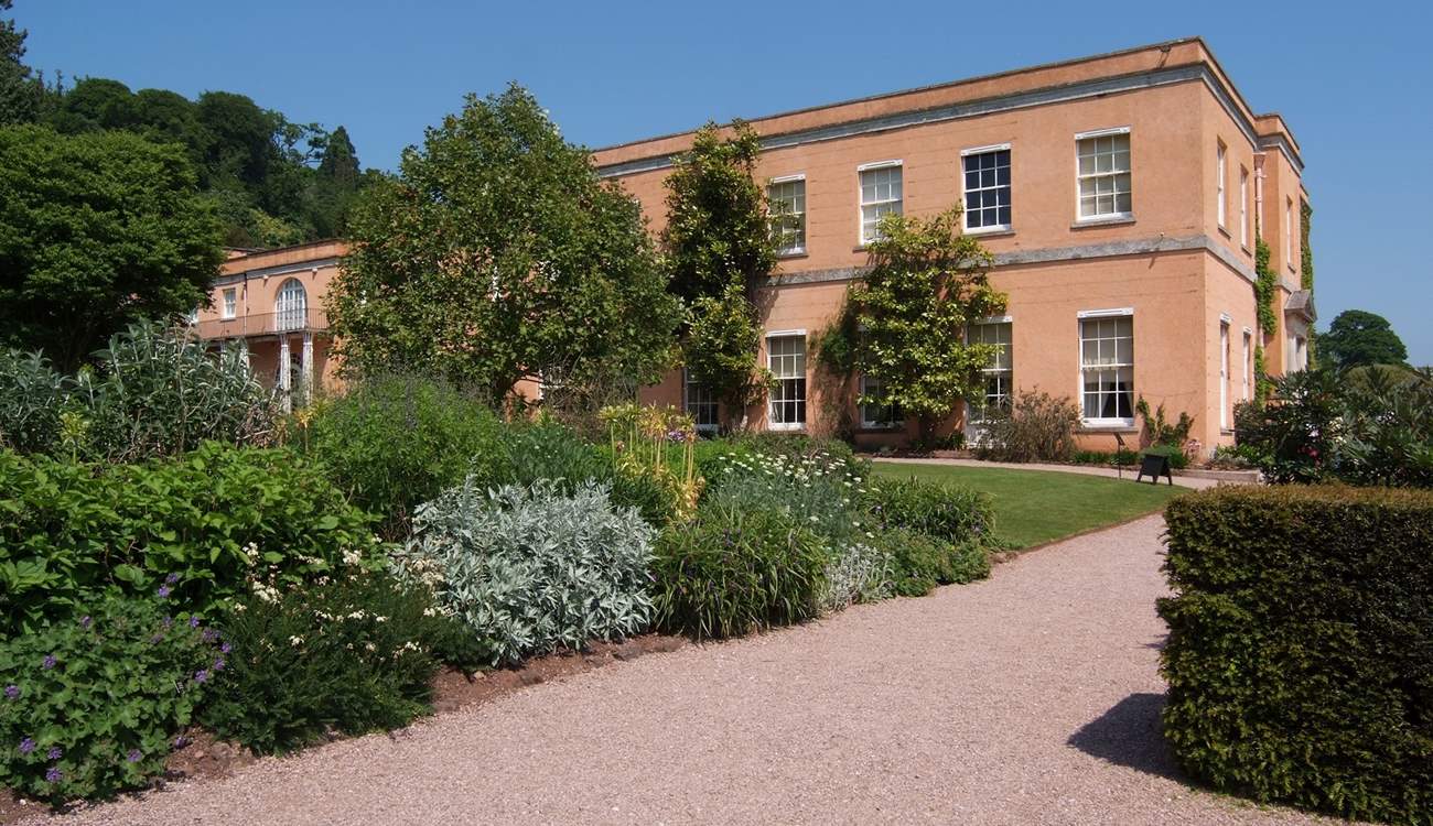 Killerton House offers glorious walks through its pretty gardens, with a lovely cafe serving coffee, cakes and light bites. 