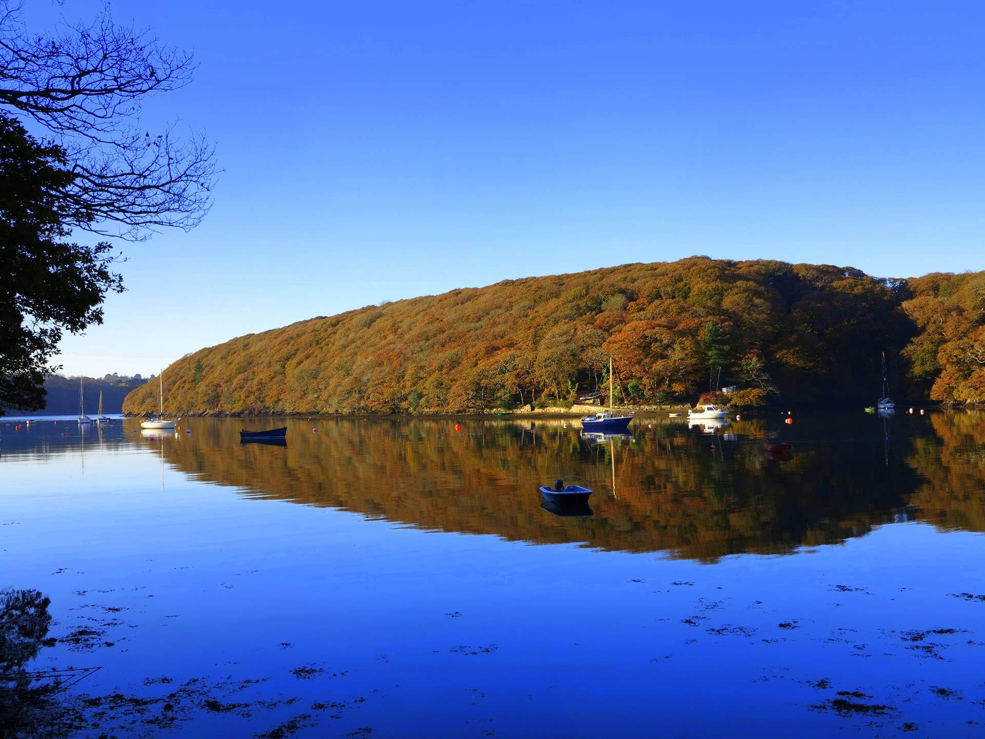 What a wonderful location.