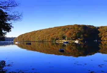 What a wonderful location.