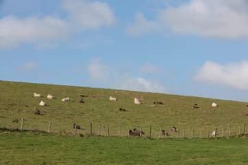 Take a walk in the surrounding countryside. The nearby village of Godshill can be easily reached on foot.