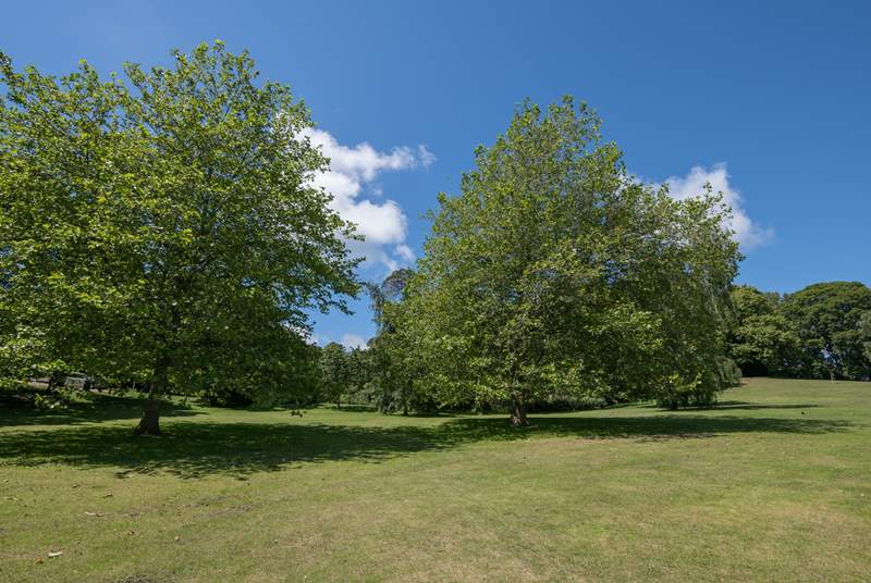 Part of the extensive grounds and parkland surrounding the property.
