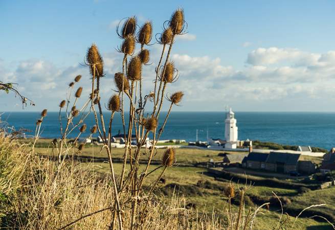 Take a lovely walk down to St. Catherine's Lighthouse.